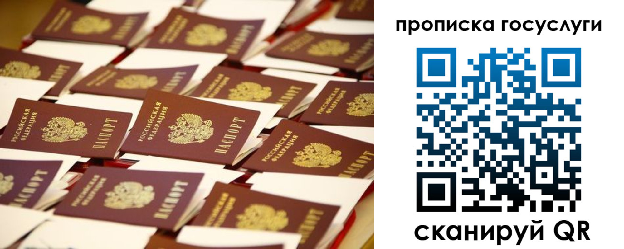 прописка гарантия в Усть-Илимске